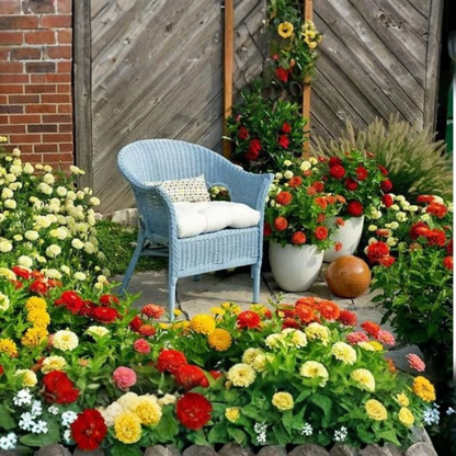 40 Varieties of Flower Seeds