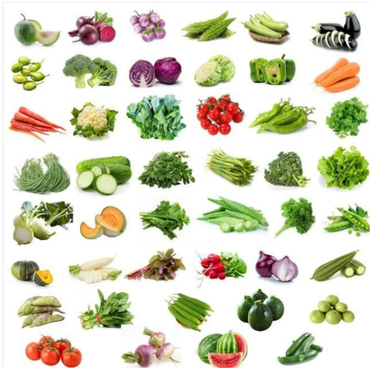 45 Varieties of Fruit and Vegetable Seeds