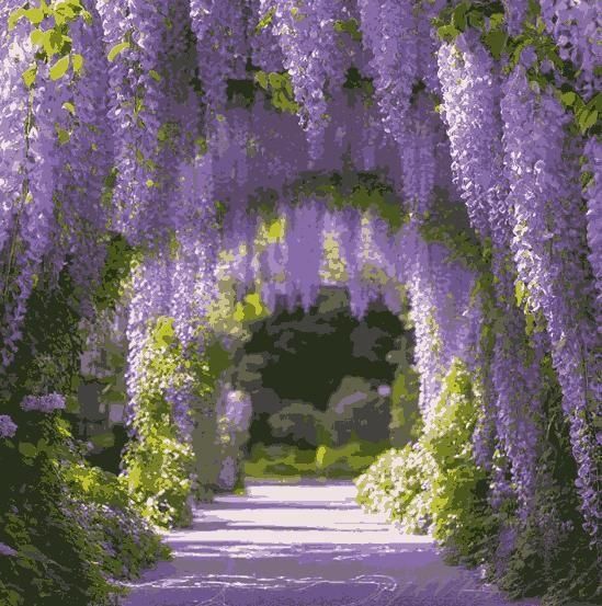🌸 The Garden’s Cascading Beauty – All Year Round